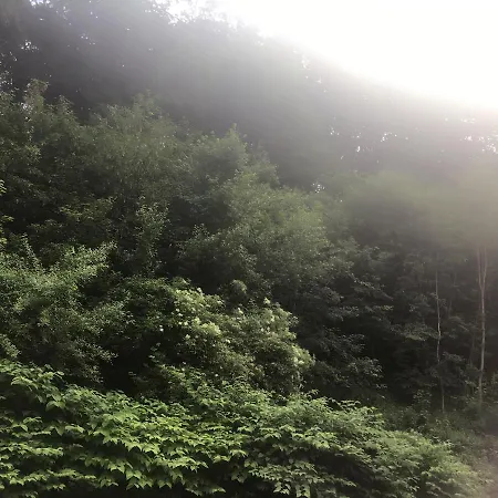 Wok * Ybbs an der Donau