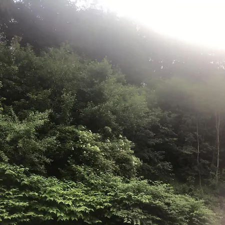 Wok * 입스 안 데어 도나우
